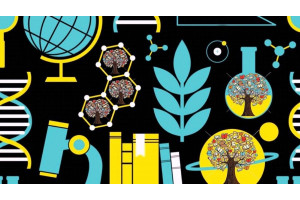 Курс Естественные науки: Базовый курс