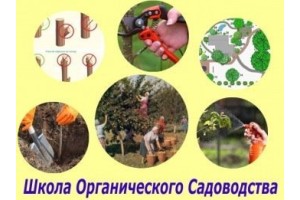 Курс Садоводство: Базовый курс