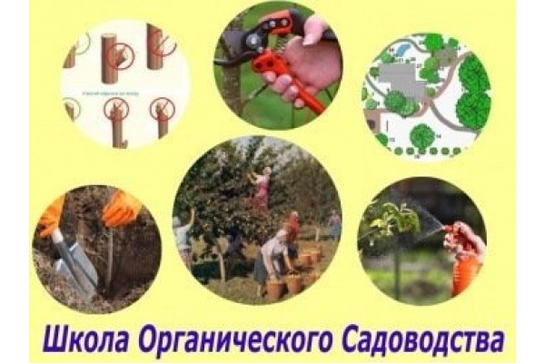 Курс Садоводство: Базовый курс