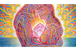 Курс Сексуальная энергетика: Базовый курс