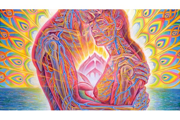 Курс Сексуальная энергетика: Базовый курс